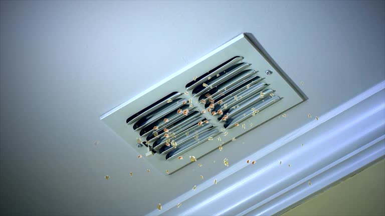 Best Affordable Duct Cleaning Services  in Country Knolls, NY